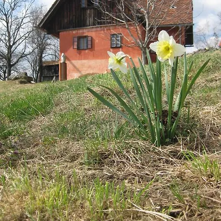 Sonnenberg Ratsch an der Weinstraße