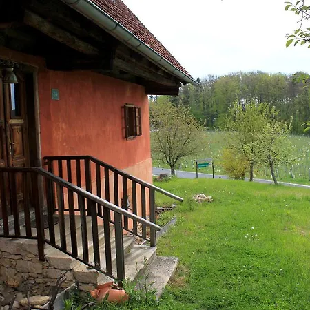 Sonnenberg *