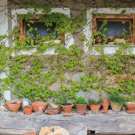 Lägenhet Sonnenberg