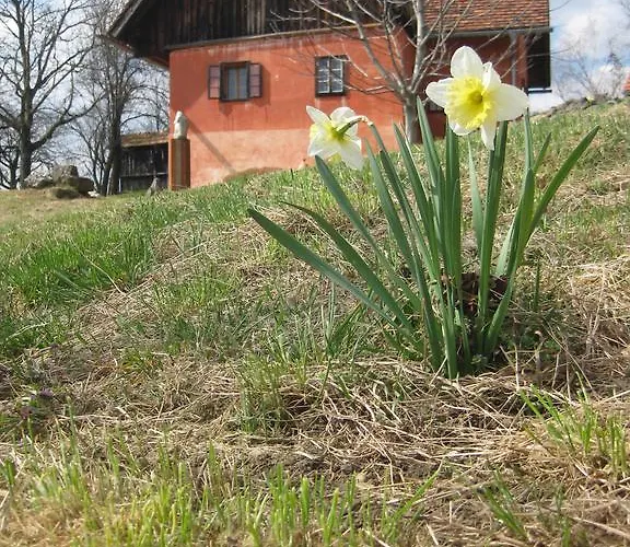 Sonnenberg Ratsch an der Weinstraße